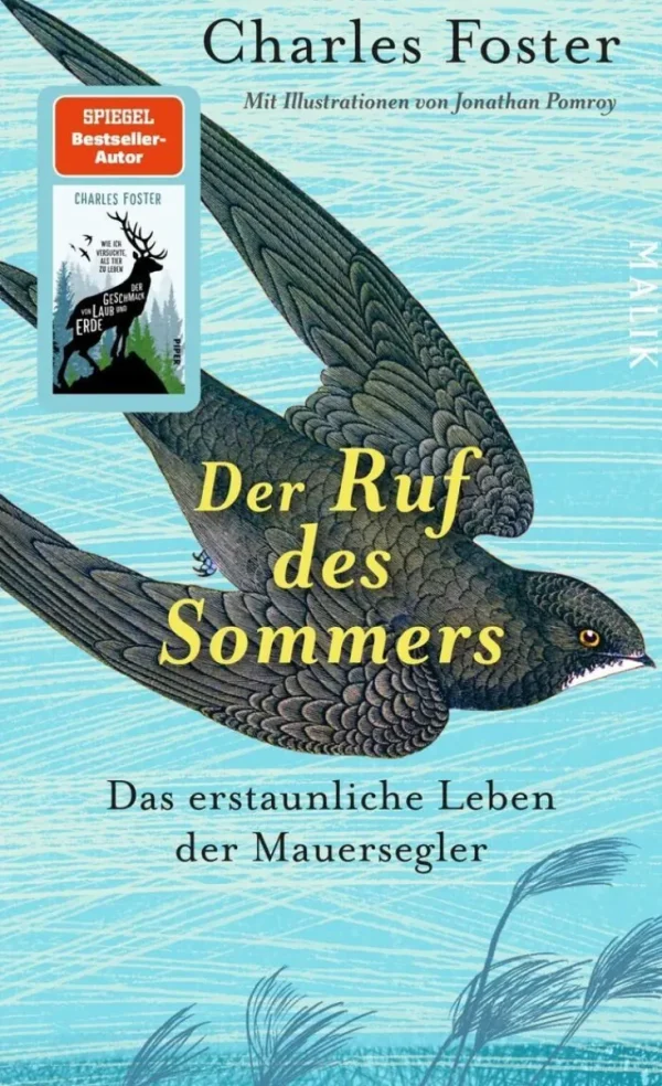 Romane>ZEIT Buchhandlung Foster, Charles: Der Ruf des Sommers