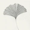 Wandbilder & Wanddekoration>The Poster Club Frois, Ana: »Ginkgo Leaf«