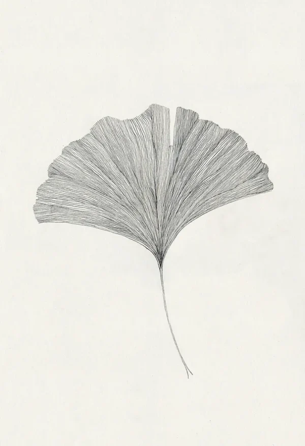 Wandbilder & Wanddekoration>The Poster Club Frois, Ana: »Ginkgo Leaf«