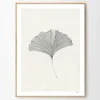 Wandbilder & Wanddekoration>The Poster Club Frois, Ana: »Ginkgo Leaf«, mit Rahmung