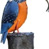 Garten>Ars mundi Gartenfigur »Eisvogel mit Fisch«