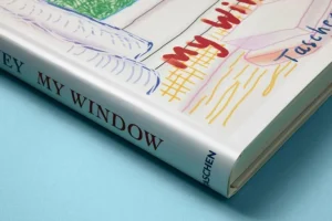 Sachbücher>ZEIT Buchhandlung Hockney, David: My Window