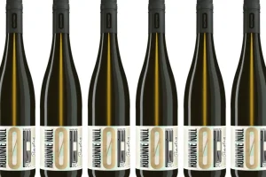 Weißwein | Alkoholfrei>KOLONNE NULL Riesling 2023, alkoholfrei, 6er Set