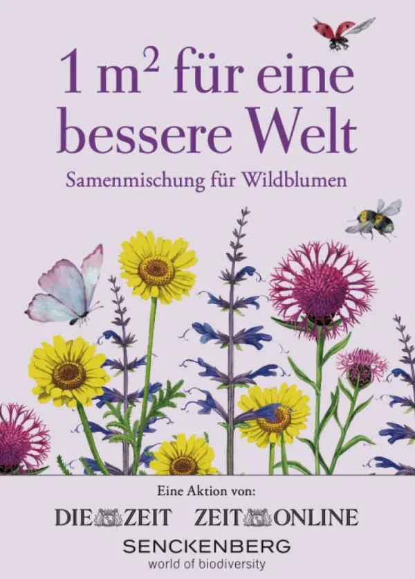 Gartenhelfer>DIE ZEIT Samentütchen Feld- oder Wildblumen »1 Quadratmeter«