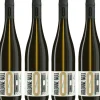 Weißwein | Alkoholfrei>KOLONNE NULL Sauvignon Blanc 2023, alkoholfrei, 6er Set