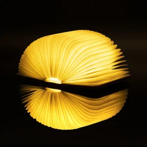 Tisch- & Leseleuchten | Schreibtischleuchten>Gingko Design Ltd Smart Booklight »Ahorn«