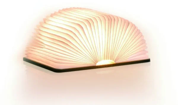 Tisch- & Leseleuchten | Schreibtischleuchten>Gingko Design Ltd Smart Booklight »Ahorn«