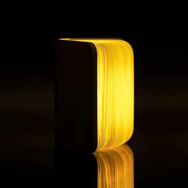 Tisch- & Leseleuchten | Schreibtischleuchten>Gingko Design Ltd Smart Booklight »Ahorn«