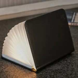 Tisch- & Leseleuchten | Schreibtischleuchten>Gingko Design Ltd Smart Booklight- Leather black